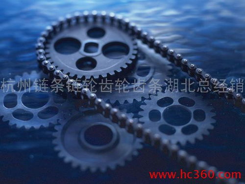 鏈條,鏈輪,齒輪,齒條,聯(lián)軸器,傳動件,五金,機(jī)電,武漢 杭州鏈條鏈輪齒輪齒條武漢直銷處